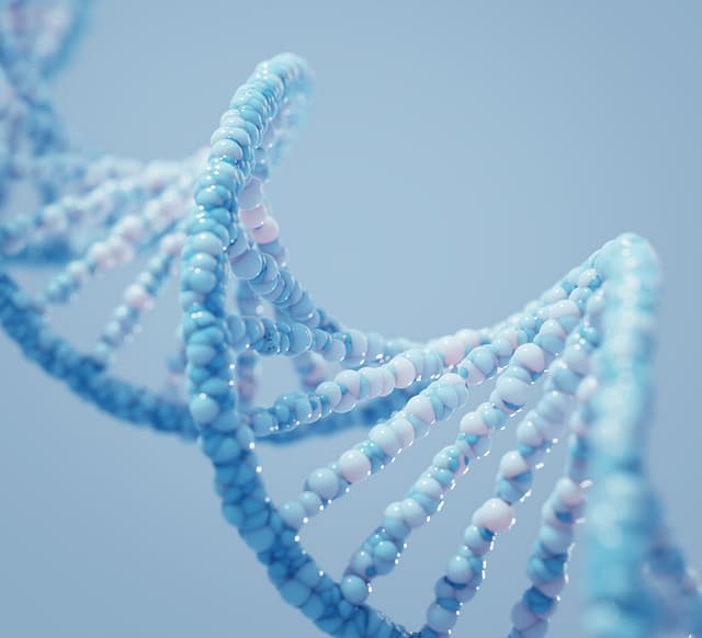 DNA research visualization